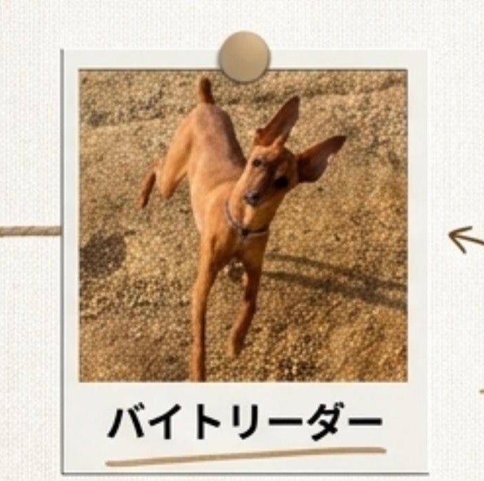 バイトリーダー