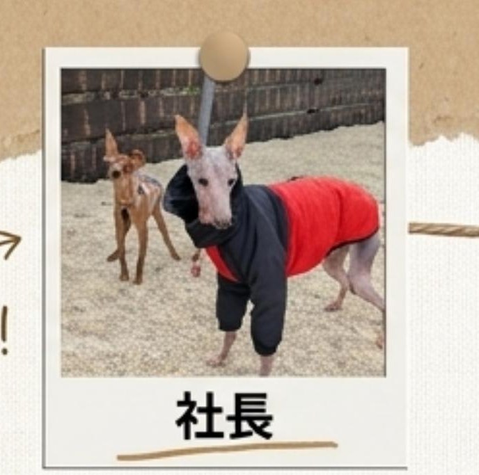 社長
